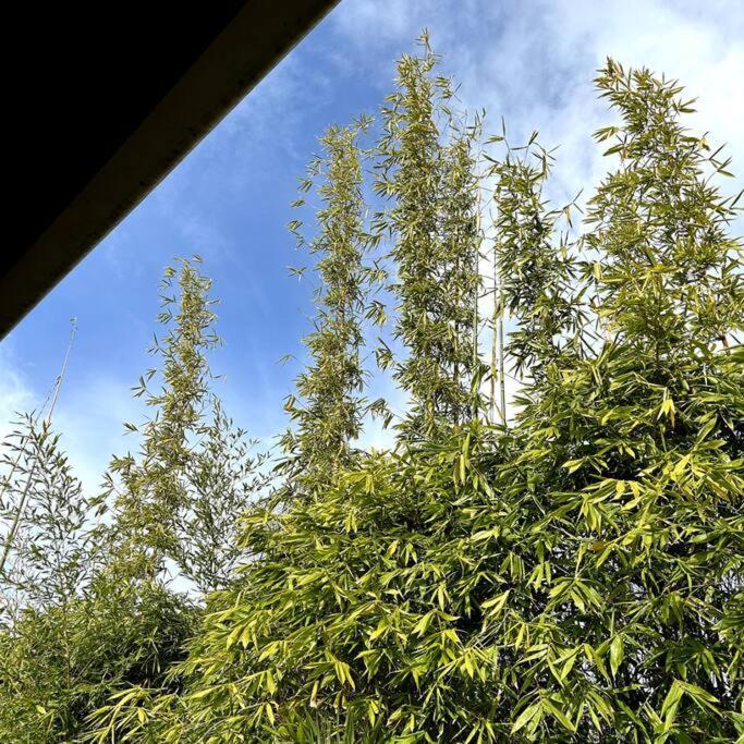 Peaceful Green Bay Charmer Auckland Bagian luar foto